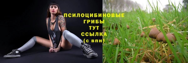 эйфоретик Ростов