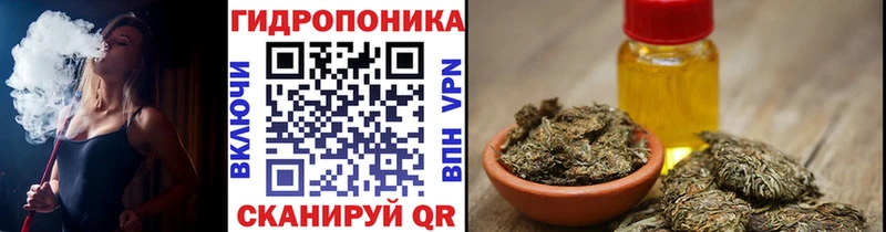 Каннабис индика Сенгилей
